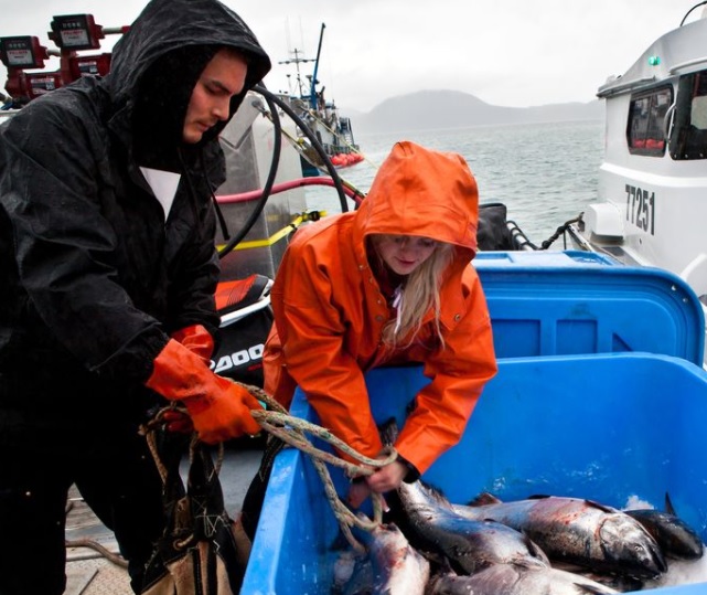 Copper River Opens May 17 With Sockeye Run Near Average, but Big Improvement in Kings